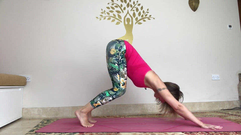 Moving Into...Downward Dog